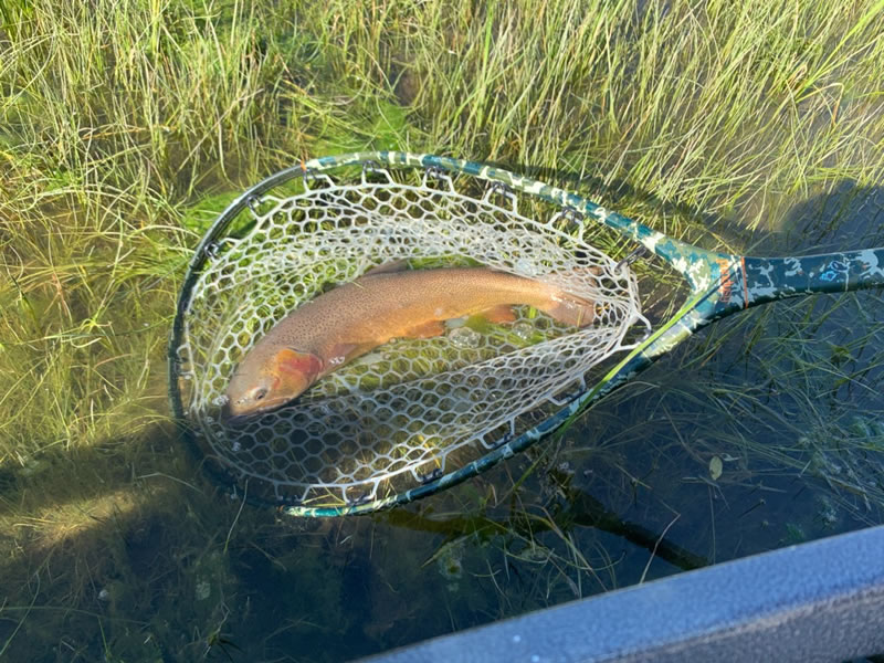 Bull Lake Outfitting Fly Fishing on Bull Lake Creek